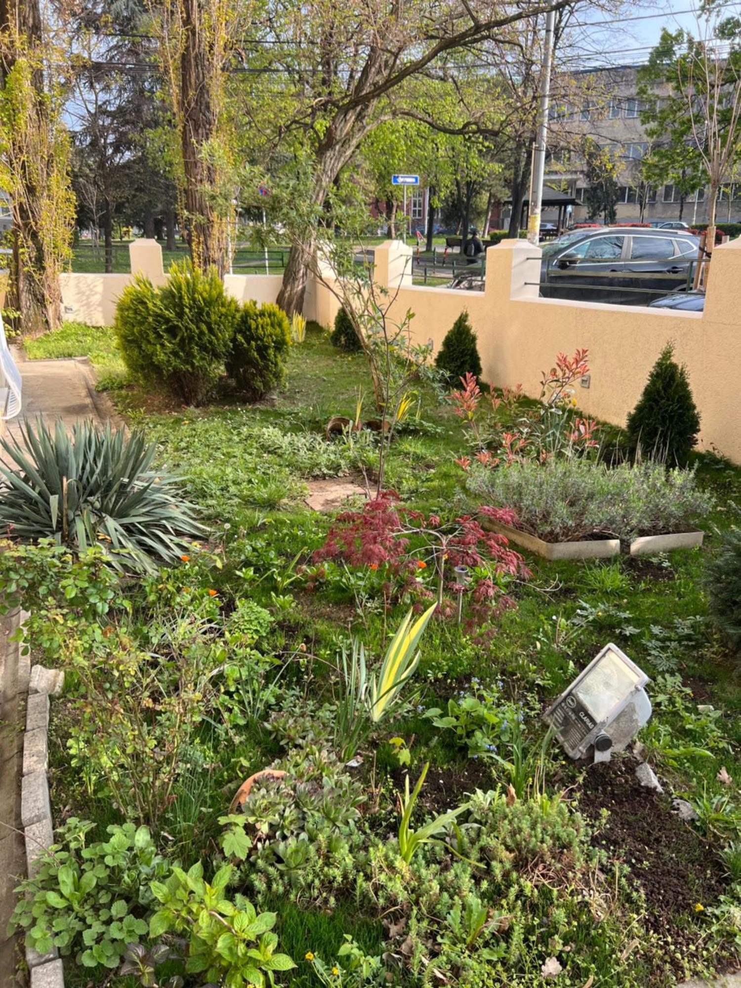 Cabbage Hostel Βελιγράδι Εξωτερικό φωτογραφία