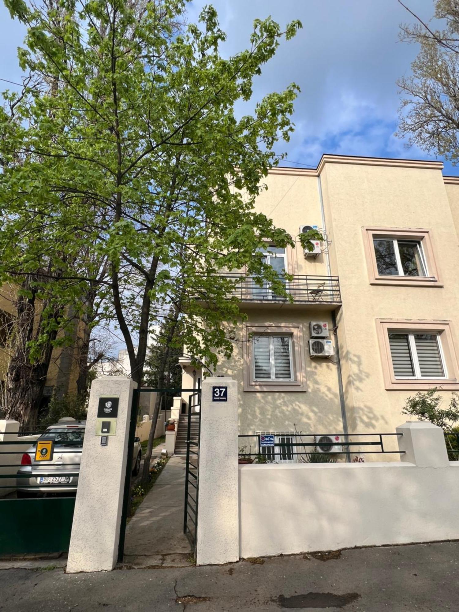 Cabbage Hostel Βελιγράδι Εξωτερικό φωτογραφία
