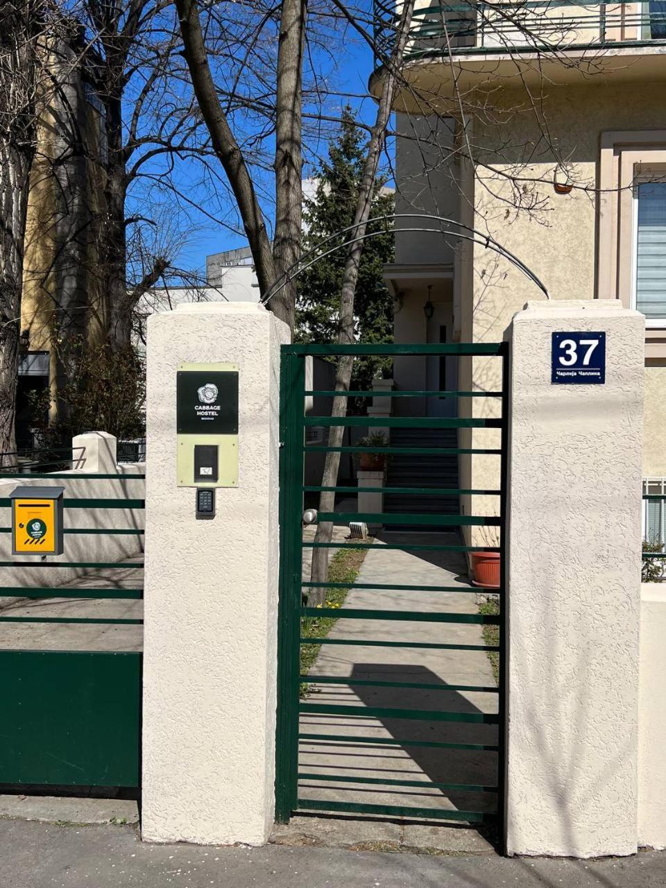 Cabbage Hostel Βελιγράδι Εξωτερικό φωτογραφία